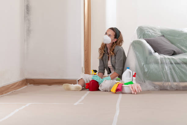 Reliable Mold Remediation contractor in Grand Rapids, MN by WQB Mold Removal